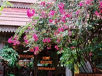 FH020037.JPG